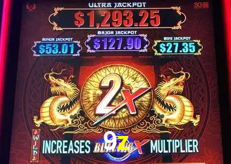 9z Curitiba - Live Status